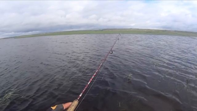 Рыбалка в Омской области. Река Тугочайка и ее окрестности. смотреть онлайн