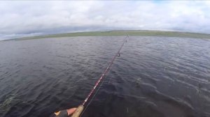 Рыбалка в Омской области. Река Тугочайка и ее окрестности.