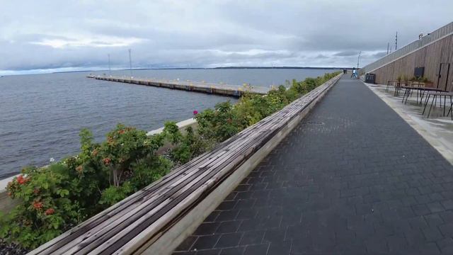 Tallinn's new cruise ship terminal смотреть онлайн