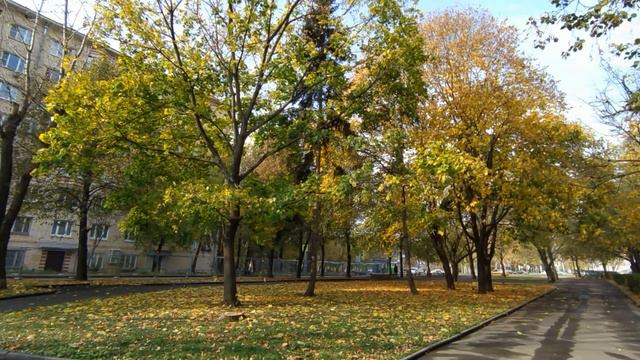 Самый теплый и солнечный день в Москве 14 октября 2020 смотреть онлайн