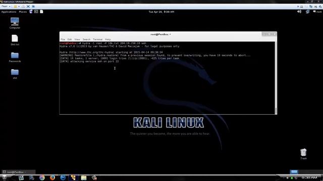 How To Bruteforce A Single User SSH Account With Hydra смотреть онлайн