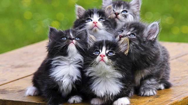 Музыка из мюзиклов. Красивая лирическая музыка. Море... смотреть онлайн