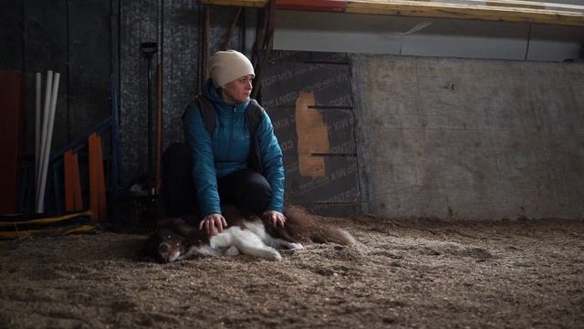Ставропольский зоопсихолог рассказала, как правильно выбрать собаку смотреть онлайн