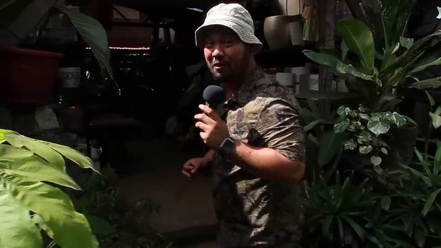 Garden Tour! Sobrang daming plants! Nakakalula! смотреть онлайн