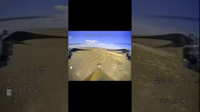 Жаль мышонка. Смелый был. смотреть онлайн