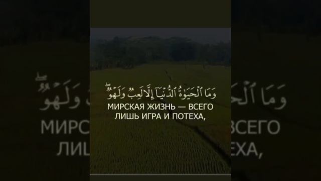 Знайте, что мирская жизнь – всего лишь игра и потеха #коран#аллах смотреть онлайн