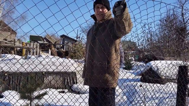 Мой сосед который против запаха от свиней смотреть онлайн