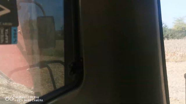 CASE IH 5088 жътва на бяло сорго с бял боб. CASE IH 5088 harvesting white sorghum with white beans. смотреть онлайн