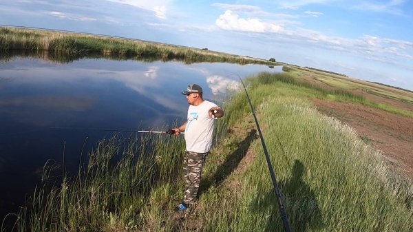 За большими изями