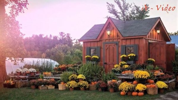 ?Сделать сад красивым Идеи для воплощения / Examples of landscape design / A - Video