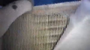 Тигуан  Замена воздушного фильтра