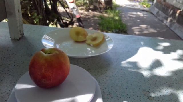 Калдези 2000 или Суперквин (Суперский сорт нектарина) смотреть онлайн