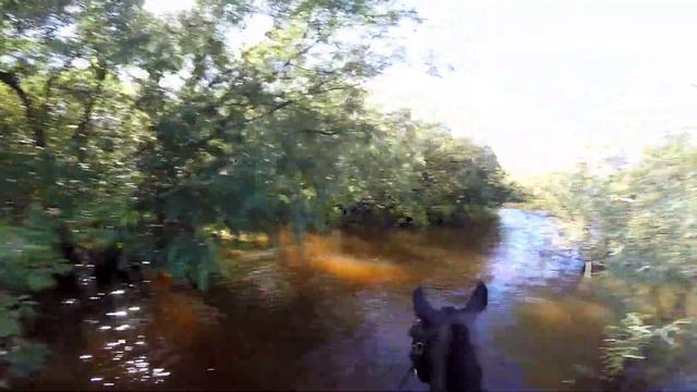 Тунгуска снова поднимается 16.08.2020 высокое качество смотреть онлайн