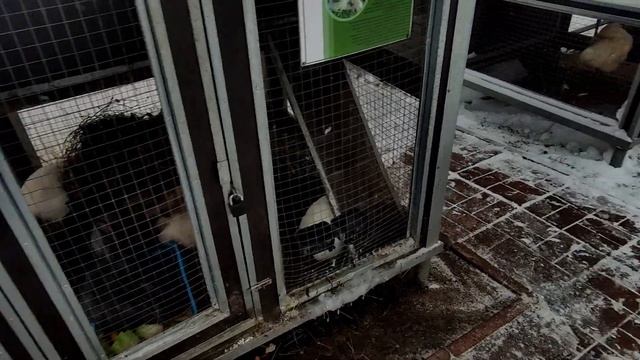 Артурс Спа Отель отзыв. Дом отдыха в Подмосковье. смотреть онлайн