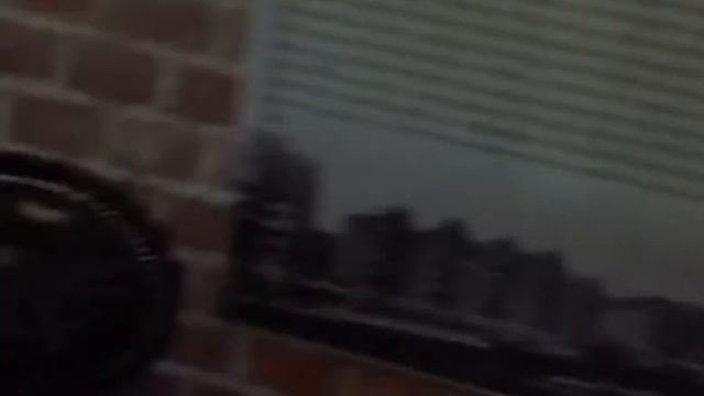 Калининград без коментов выходной день. смотреть онлайн