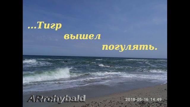 Тигр вышел погулять ( Э.Успенский. стихи ) Раз, два, три, четыре, пять... смотреть онлайн