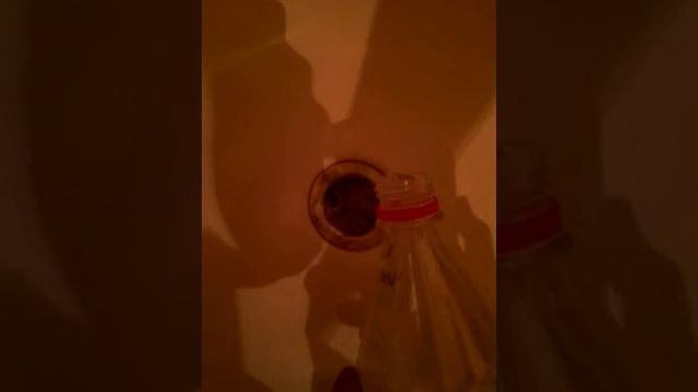 Сода с уксусом эксперимент смотреть онлайн