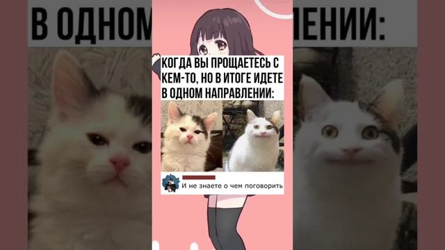 #short #shorts #мем #мемы #прикол #юмор #funny (29) смотреть онлайн