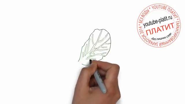Как нарисовать лист подорожника смотреть онлайн