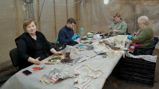 Ответы на общие вопросы__.mp4 смотреть онлайн