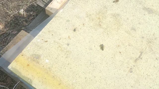 Безрасплодный отводок на 15 апреля. смотреть онлайн