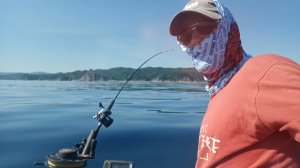 ТРОЛЛИНГ ГОРБУШИ?? ЛЕСУЧЕНКО ... ИЮНЬ.. 2023