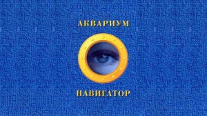 Аквариум - Мается