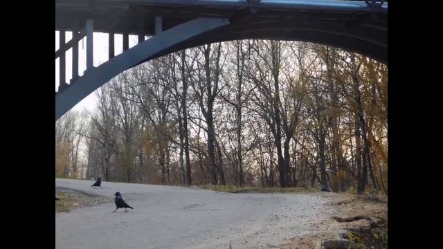 Застывшая мелодия осени 2015 смотреть онлайн