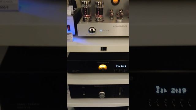 АудиоТехника на Hi-Fi & High End Show 2023 комната 813! Opera Consonance Cyber 880i. Часть 2! #hifi смотреть онлайн