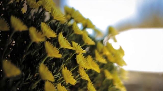 Восемнадцатый настрой