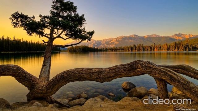 МУЗЫКА КАК ЛЕКАРСТВО!!! смотреть онлайн