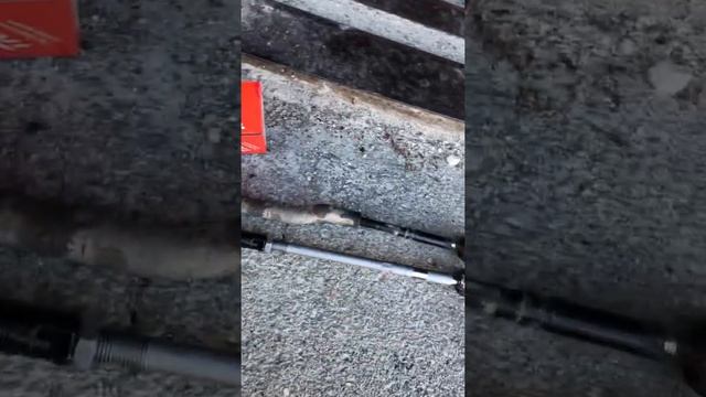 Замена рулевых тяг Nissan micra k12 смотреть онлайн