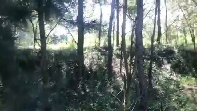 Катание на велосипедах и купание в сажелке смотреть онлайн