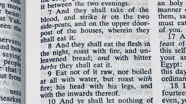 Sun Apr 12 2020 "Easter Service?" SON-DAY/Holy Convocation Yahweh Elohim our Creator thru Yahshu смотреть онлайн