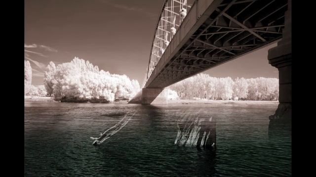 Infrared photography (by Datki; music: Loreena McKennitt -Tango to Evora -) смотреть онлайн