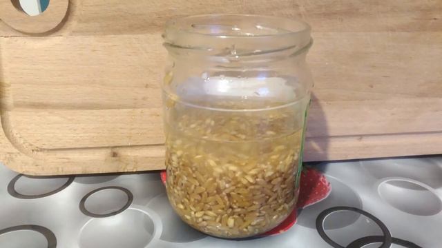 Проросшая пшеница.Как проращивать.Что будет если есть проросшую пшеницу смотреть онлайн