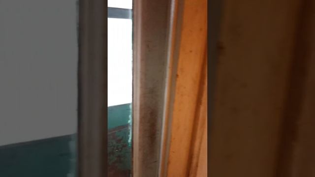 Воронеж Туполева 33 квартира смотреть онлайн