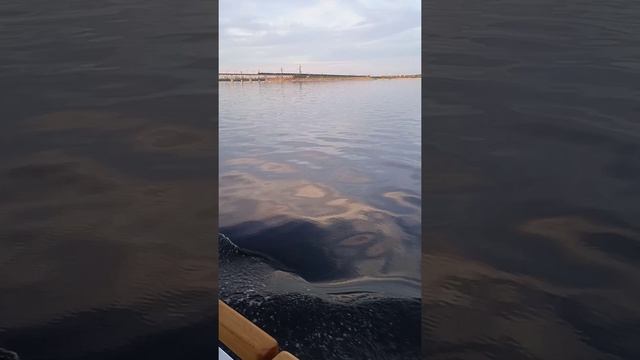 Прогулка по Волге на корабле. смотреть онлайн