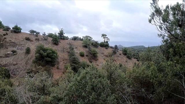 #ПешийТур2021 , Новый Свет. гора Сокол. смотреть онлайн