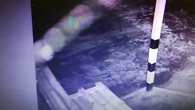 Кража видеокамер на торговом павильоне «Пятерочка» смотреть онлайн