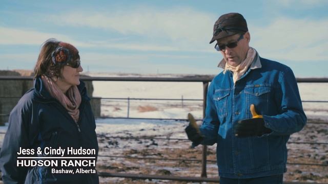 Winter Grazing Systems: Feed Waste & Clean Up смотреть онлайн