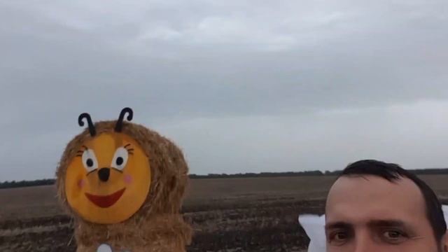 #Матрёшки #Haystackpupae