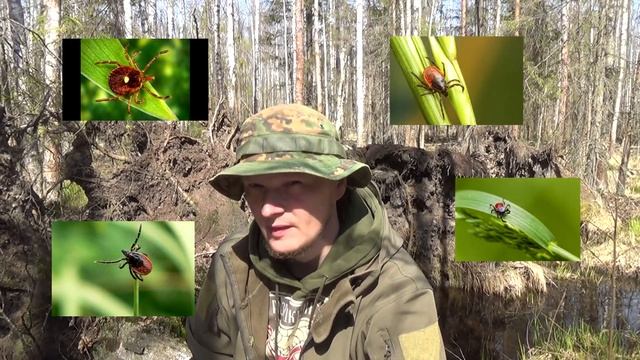 Клещ смотреть онлайн