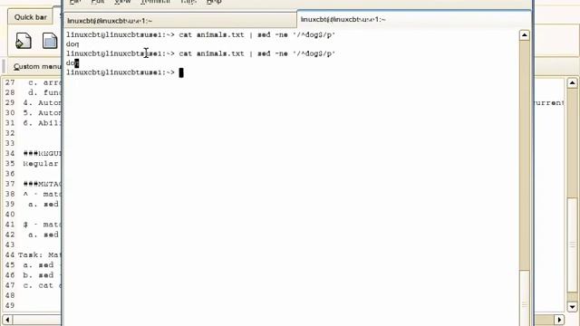 LCBT AwkSed 002 RegEx Review смотреть онлайн