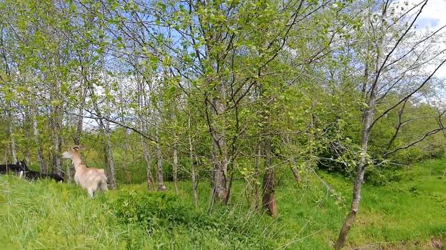 Ручей впадает в реку. смотреть онлайн