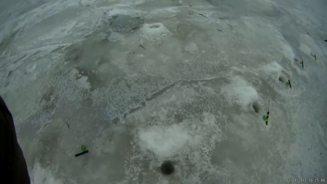 корюшка, шанец 149 штук 04.02.17 смотреть онлайн