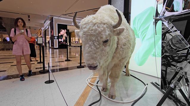 Коза в торговом центре