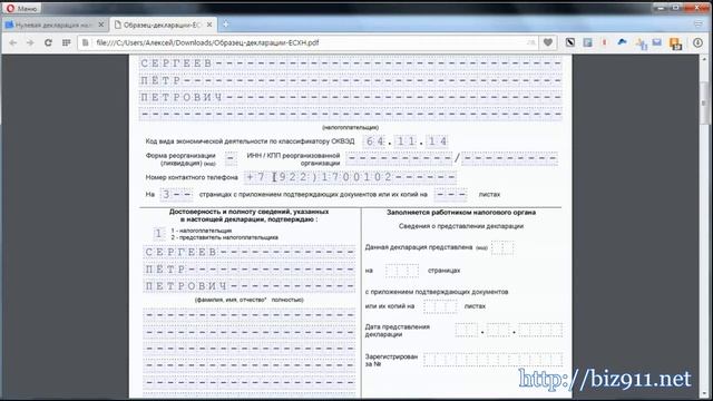 Нулевая декларация ЕСХН