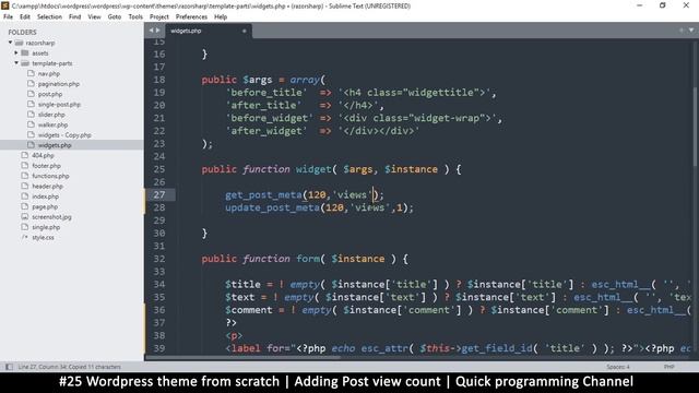 #25 Wordpress theme from scratch | Adding post view count | Quick programming beginner tutorial смотреть онлайн