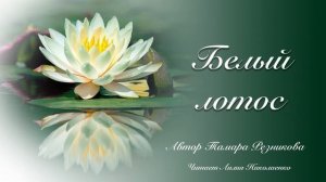 Белый лотос. Тамара Резникова │Интересный христианский рассказ